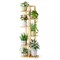6 Tier Plant Stand Indoor 7 Potted Corner Plant Shelf Planter Holder for Plants